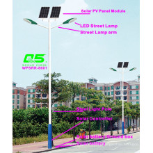 WPSRR-8601 3~15m Municipal Road Hot DIP Galvanized Steet Light Pole style